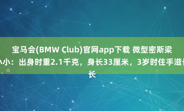 宝马会(BMW Club)官网app下载 微型密斯梁小小：出身时重2.1千克，身长33厘米，3岁时住手滋长