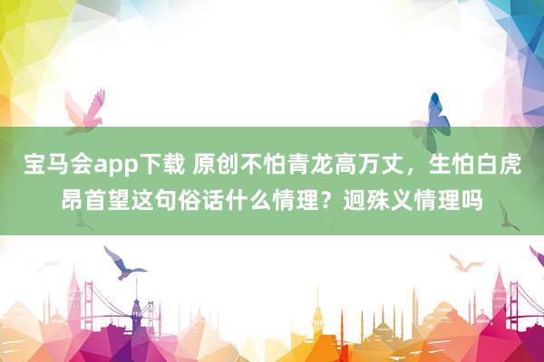 宝马会app下载 原创不怕青龙高万丈，生怕白虎昂首望这句俗话什么情理？迥殊义情理吗