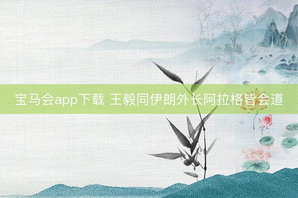 宝马会app下载 王毅同伊朗外长阿拉格皆会道